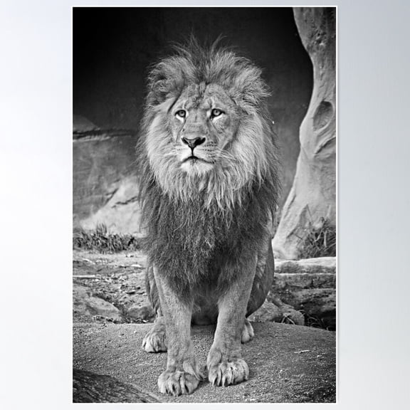 Standing Tall Poster Wall Art, Modern Wall Decor For Living Room Bedroom, 8x12 UNFRAMED