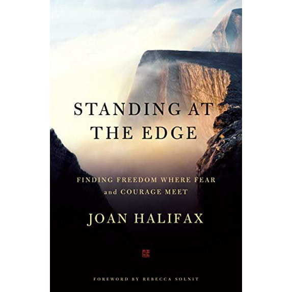 Pre-Owned Standing at the Edge : Finding Freedom Where Fear and Courage Meet (Hardcover)
