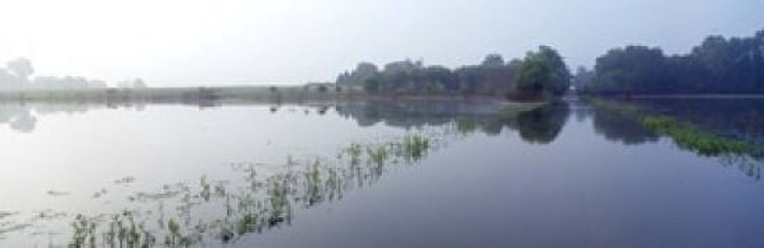 Standing floodwater Mississippi River Illinois USA Canvas Art - Panoramic Images (18 x 6)