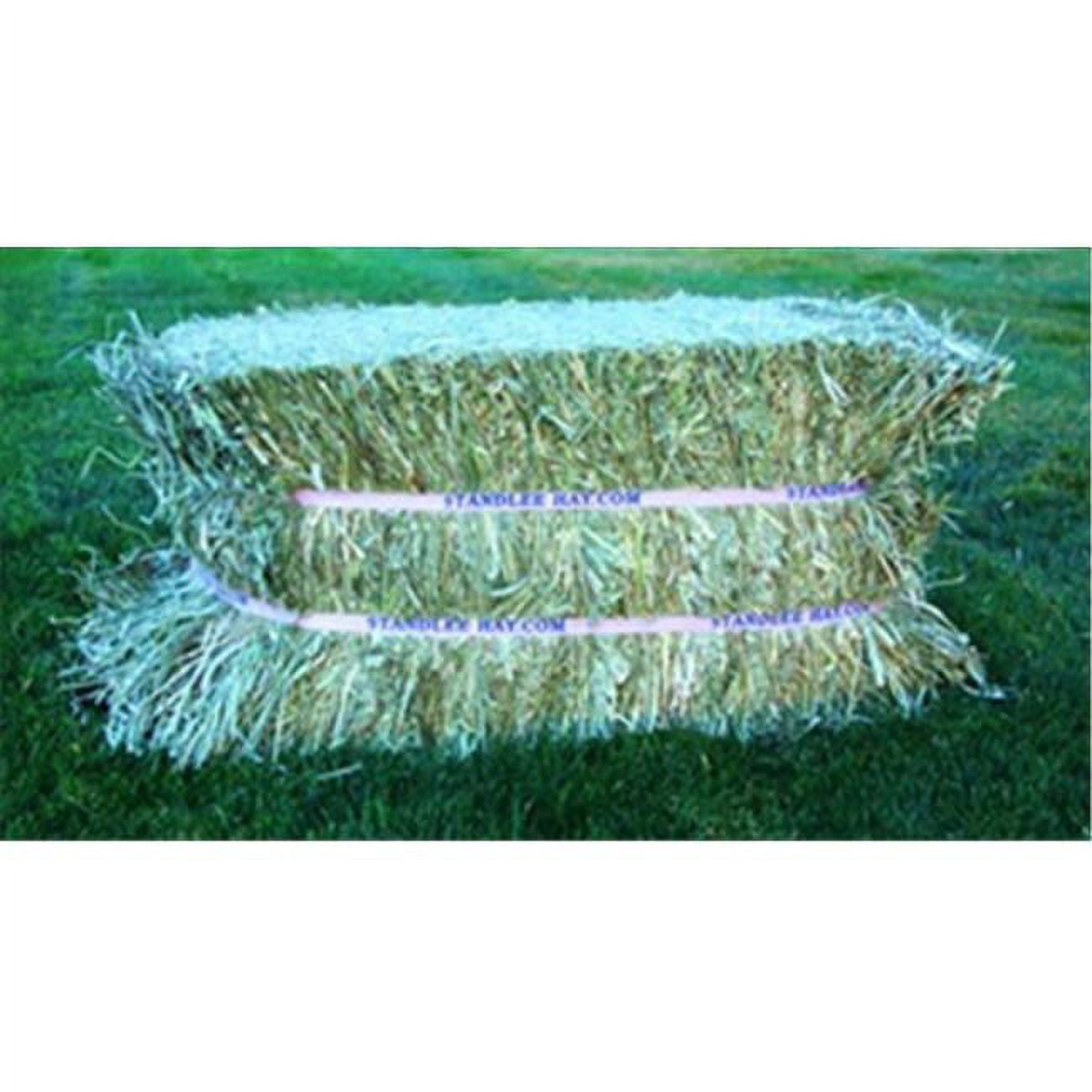 Standlee Premium Products Premium Timothy Compressed Bale