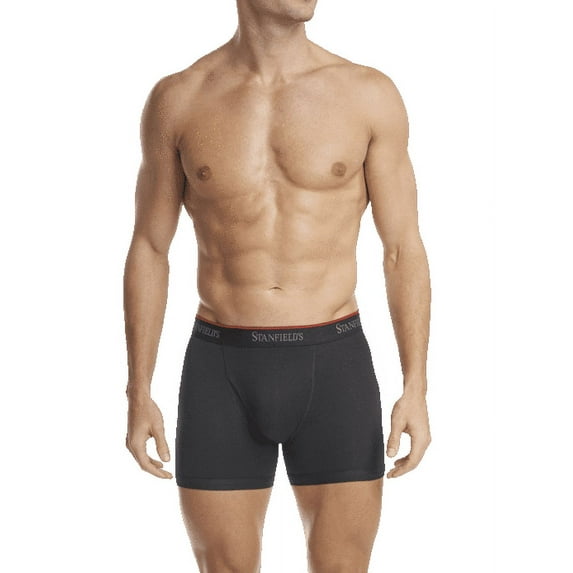 Stanfield's 2-Pack Adult Mens Cotton Stretch Boxer Briefs, Sizes S-5XL