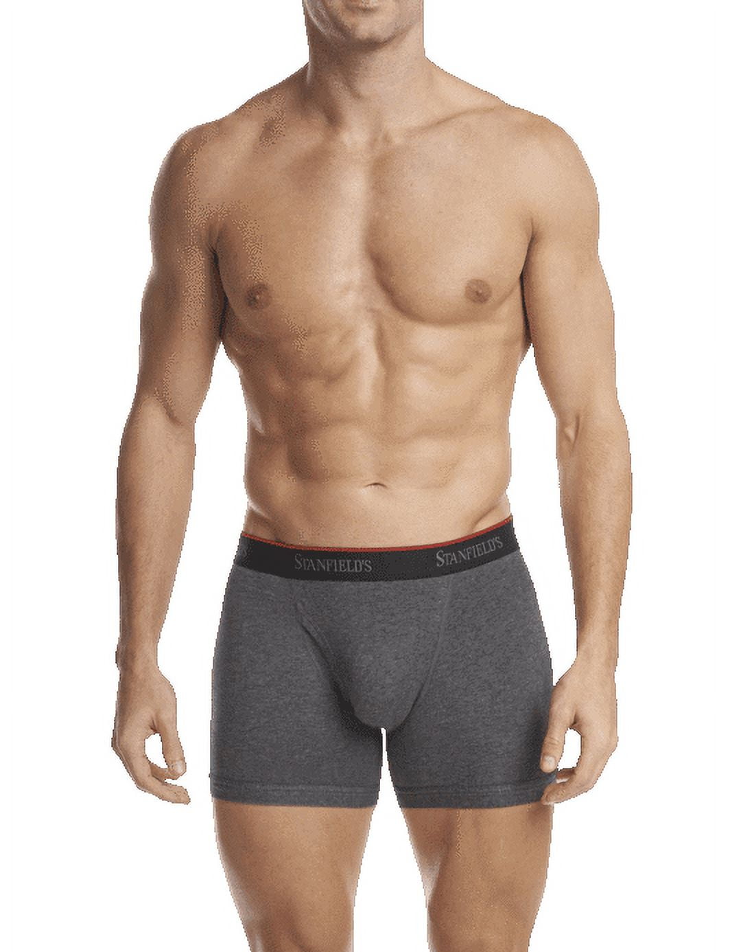Stanfield's 2-Pack Adult Mens Cotton Stretch Boxer Briefs, Sizes S-5XL