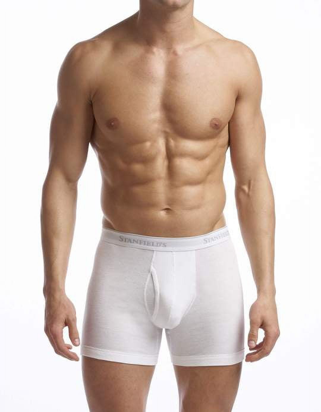 Stanfield's 2-Pack Adult Mens Premium Cotton Boxer Briefs, Szes S-XL