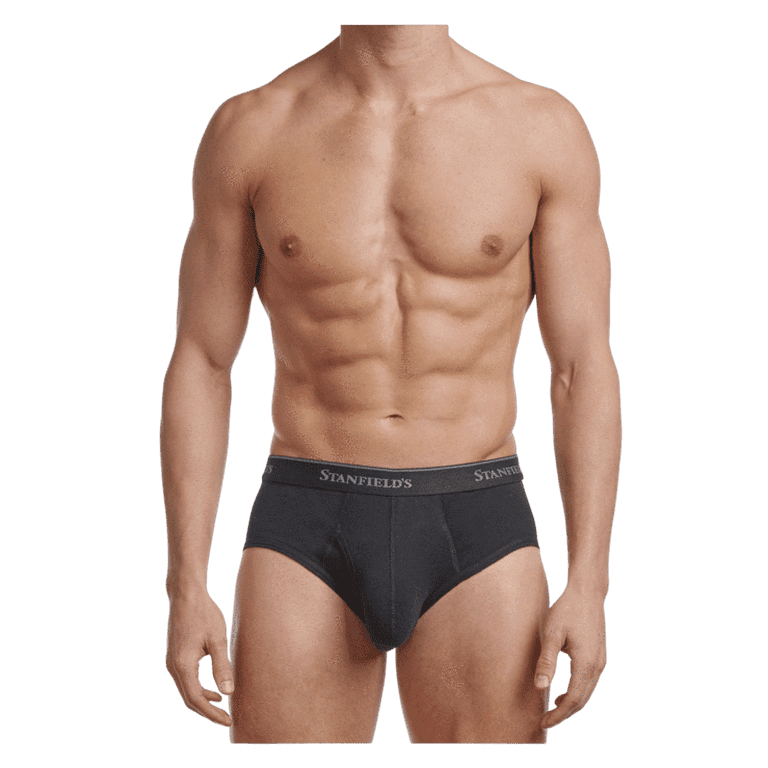 https://i5.walmartimages.com/seo/Stanfield-s-2-Pack-Adult-Mens-Premium-Cotton-Low-Rise-Briefs-Sizes-S-XL_a98e1ed5-5250-4c83-b3fa-84d355ac1be5.22aa2ddf0b9745f61572d28d3d4173f9.png?odnHeight=768&odnWidth=768&odnBg=FFFFFF