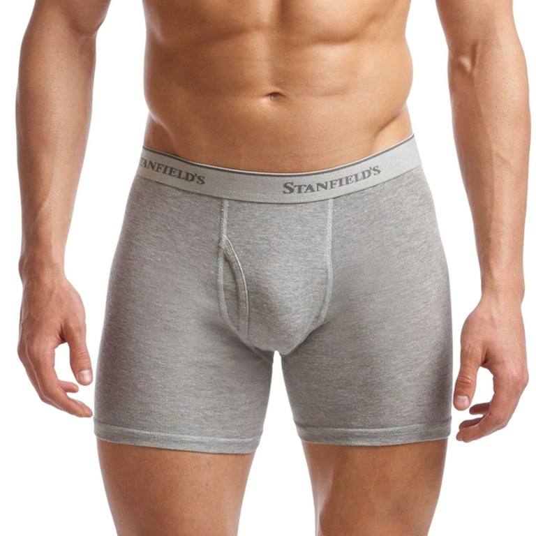 S Supreme Hanes Boxer Briefs 2 Pack グレー