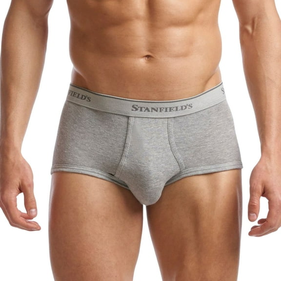 Stanfield's 2-Pack Adult Mens Supreme Cotton Blend Regular Rise Briefs, Sizes S-5XL