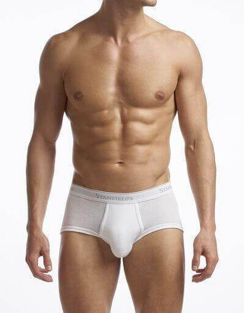 Stanfield's 2-Pack Adult Mens Supreme Cotton Blend Regular Rise Briefs, Sizes S-5XL