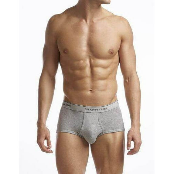 Stanfield's 2-Pack Adult Mens Supreme Cotton Blend Regular Rise Briefs, Sizes S-5XL