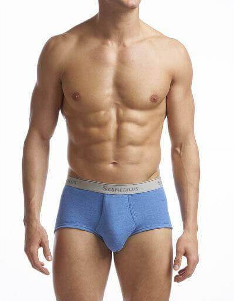 Stanfield's 2-Pack Adult Mens Supreme Cotton Blend Regular Rise Briefs, Sizes S-5XL