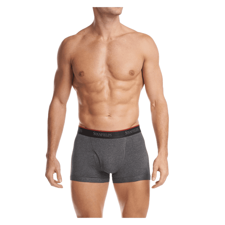 Stanfield's 2-Pack Mens Cotton Stretch Trunks Underwear, Sizes S