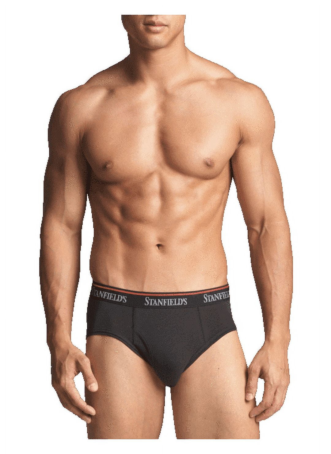 Stanfield's 3-Pack Adult Mens Cotton Stretch Briefs, Sizes S-2XL