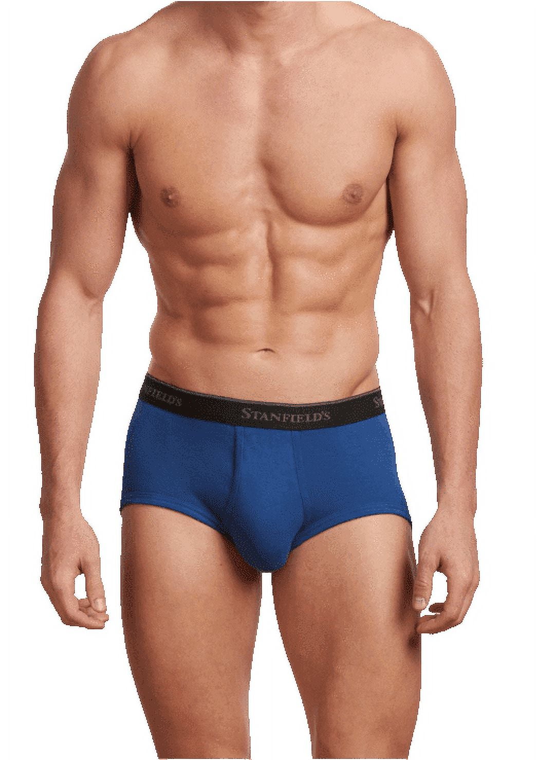 Stanfield's 3-Pack Adult Mens Premium Cotton Regular Rise Briefs, Sizes S-XL