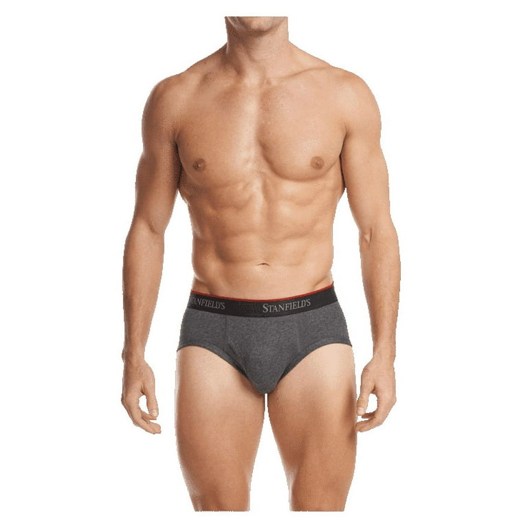 Stanfield's 3-Pack Adult Menss Cotton Stretch Briefs, Sizes S-2XL
