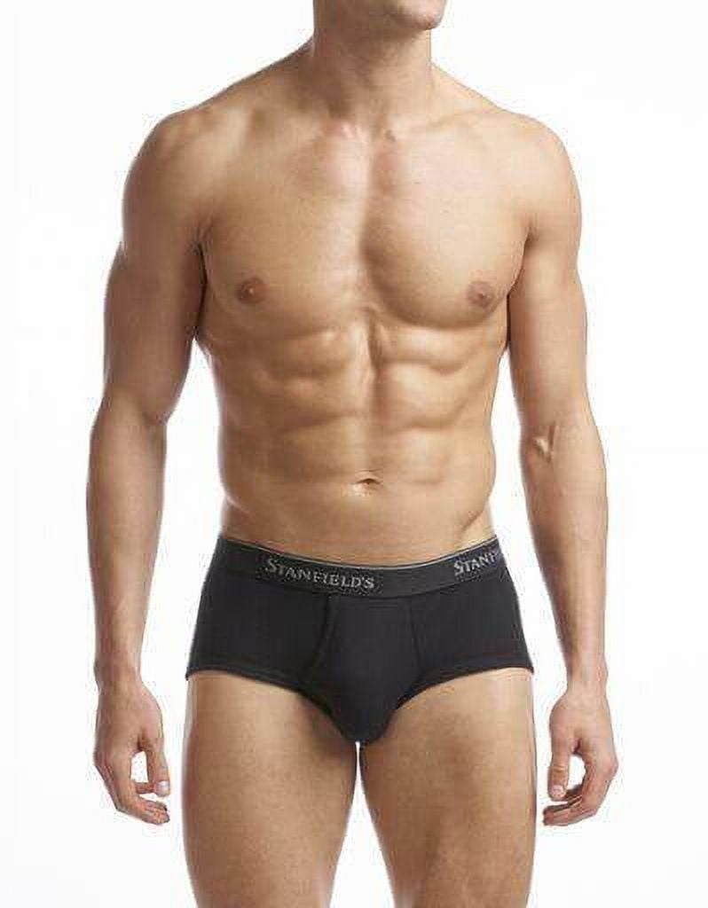 Stanfield's Men's 2 Pack Supreme Cotton Blend Regular Rise Briefs Underwear