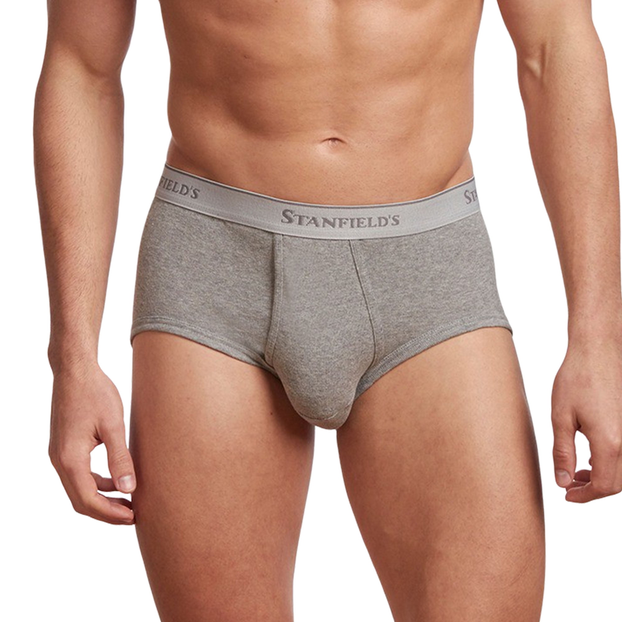 Stanfield's Men's 3 Pack Premium Cotton Regular Rise Briefs Underwear 