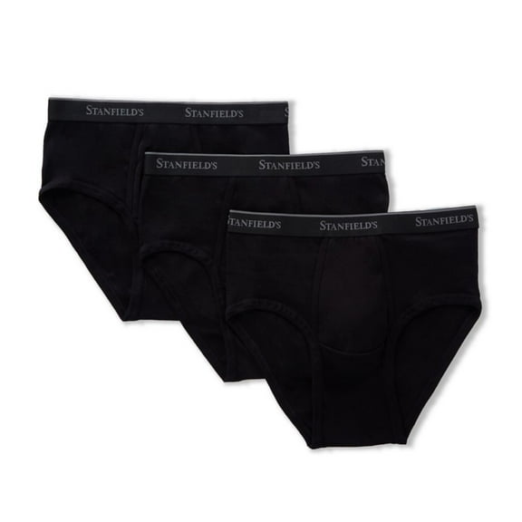 Stanfield's Men's 3 Pack Premium Cotton Regular Rise Briefs Underwear