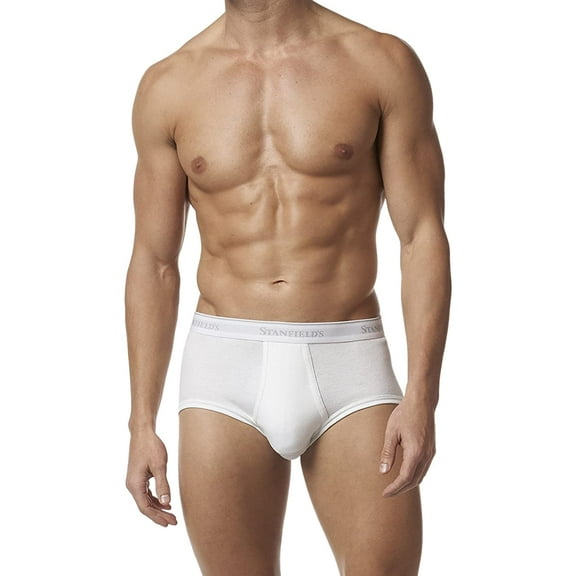 Stanfield's Men's 3 Pack Premium Cotton Regular Rise Briefs Underwear