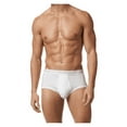 thumbnail image 1 of Stanfield's Men's 3 Pack Premium Cotton Regular Rise Briefs Underwear, 1 of 5