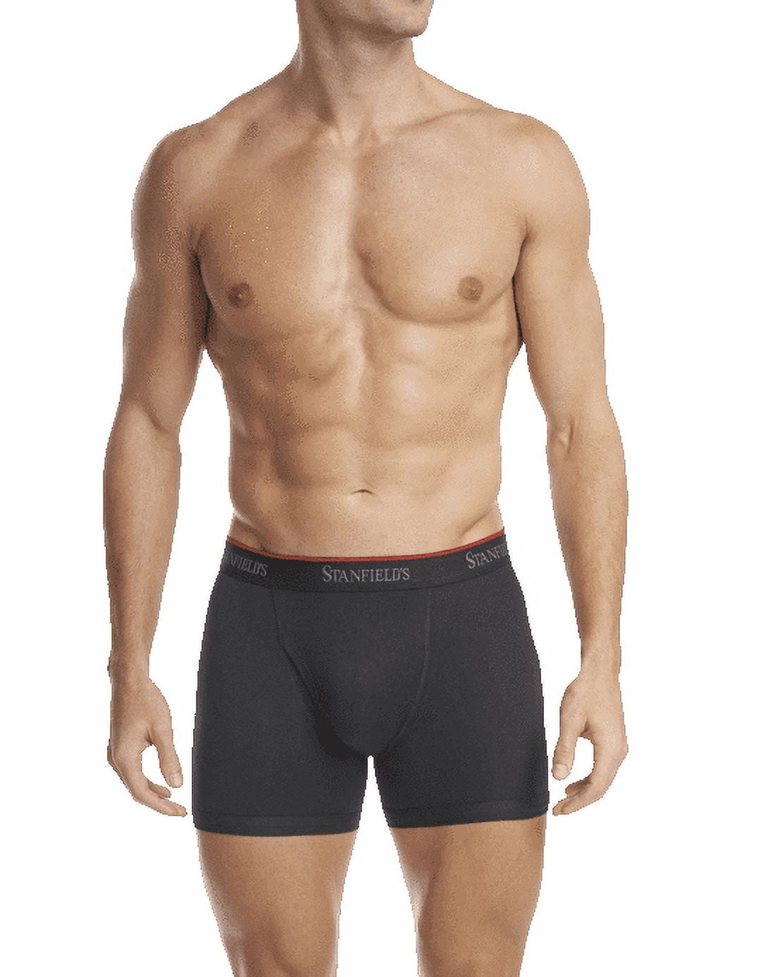 Stanfield's Men's Cotton Stretch Boxer Brief Underwear-2 Pack