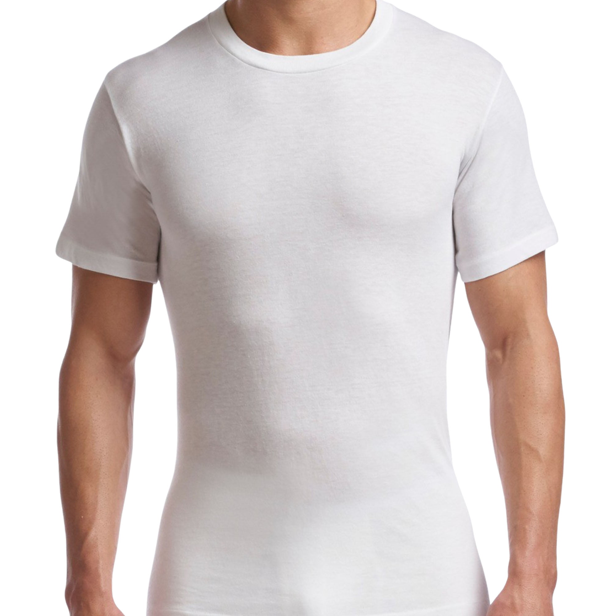 Stanfield's Men's Supreme Cotton Blend T-shirt - Walmart.com