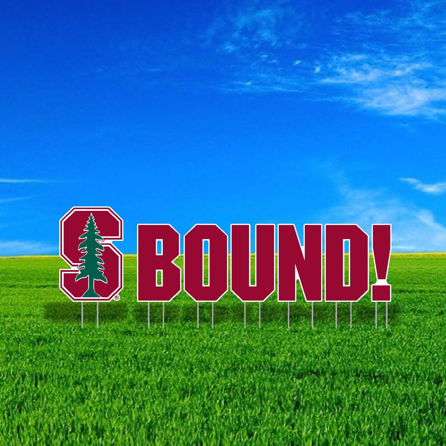 Stanford University BOUND Mascot Yard Sign Set