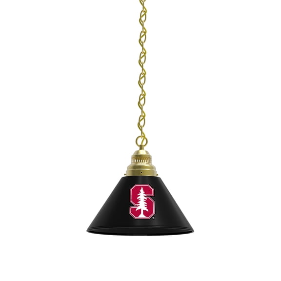 Stanford University Pendant Light with Brass Fixture