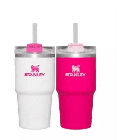 Stanley 2 pk 20 oz. Stainless Steel H2.0 Flowstate Quencher Tumblers Pink  Vibes/Frost Set Christmas Gift 