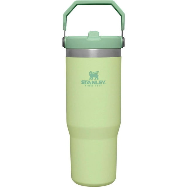 Stanley 30 Oz. IceFlow Tumbler with Flip Straw | Citron - Walmart.com