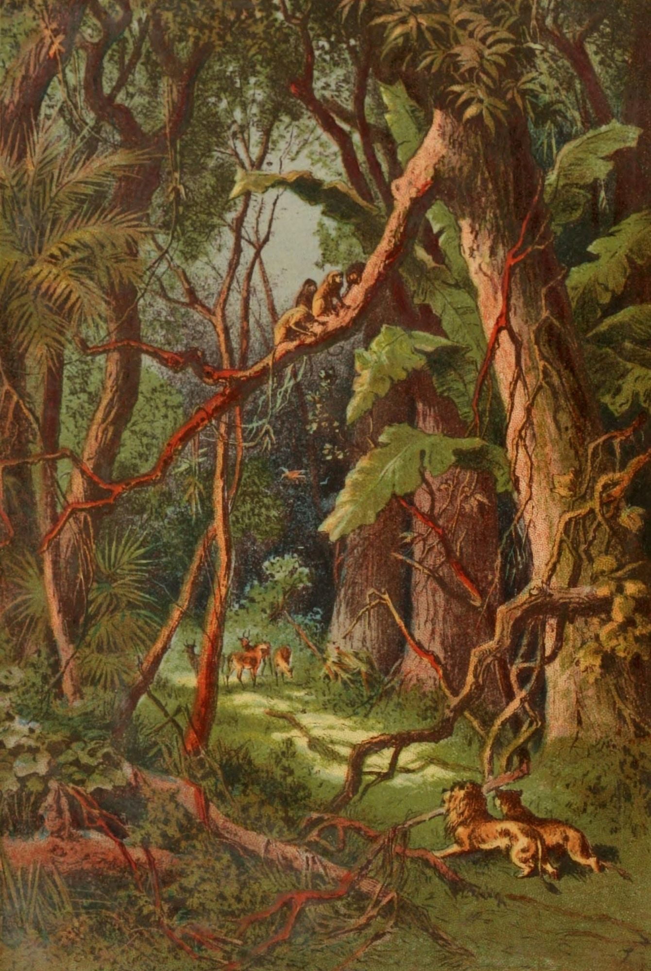 Stanley & Africa c1875 A Forest in Central Africa Canvas Art - Unknown (18 x 24)
