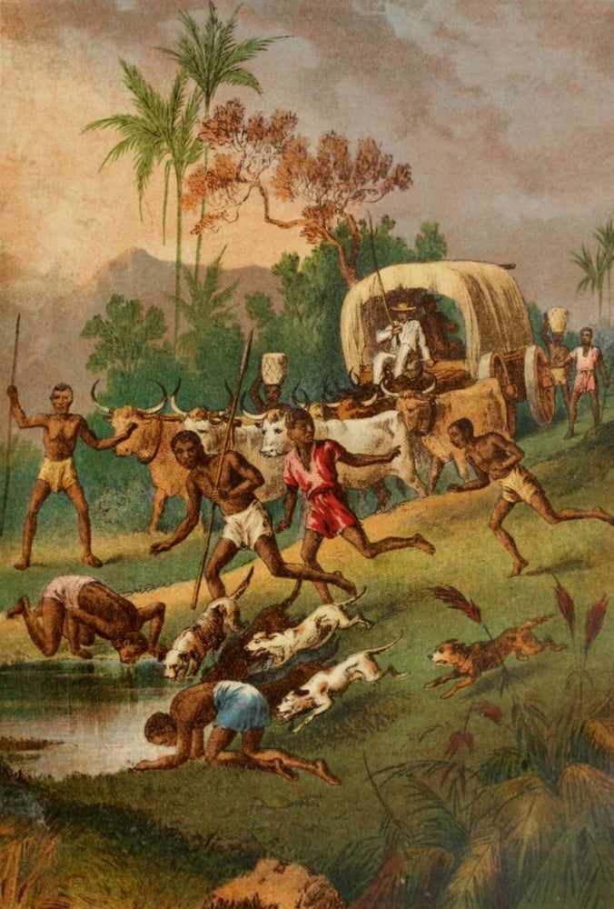 Stanley & Africa c1875 A rainpool by the way Canvas Art - Unknown (18 x 24)