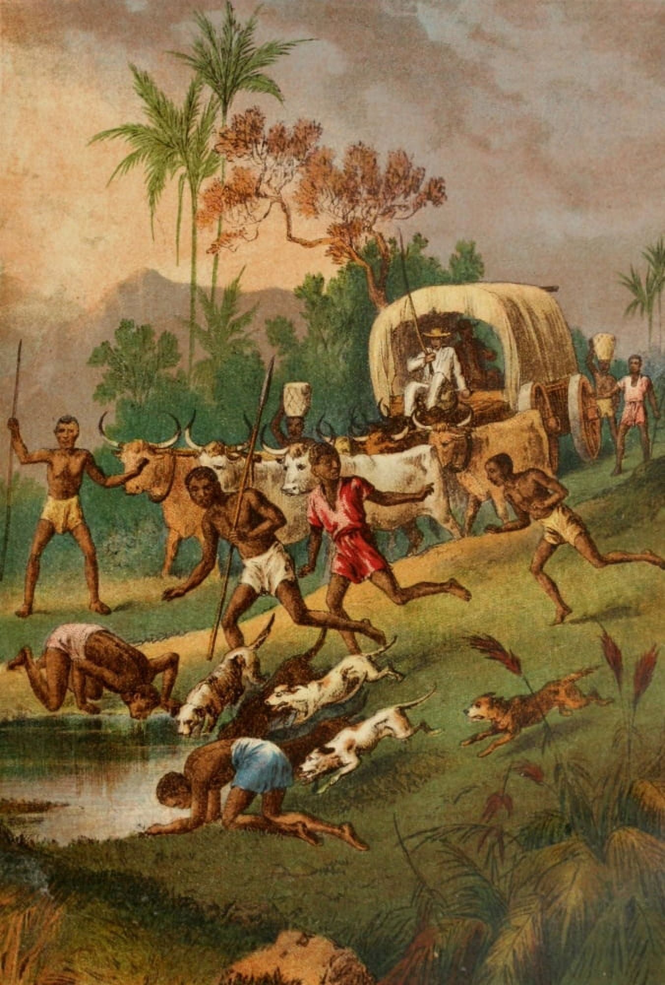 Stanley & Africa c1875 A rainpool by the way Canvas Art - Unknown (24 x 36)