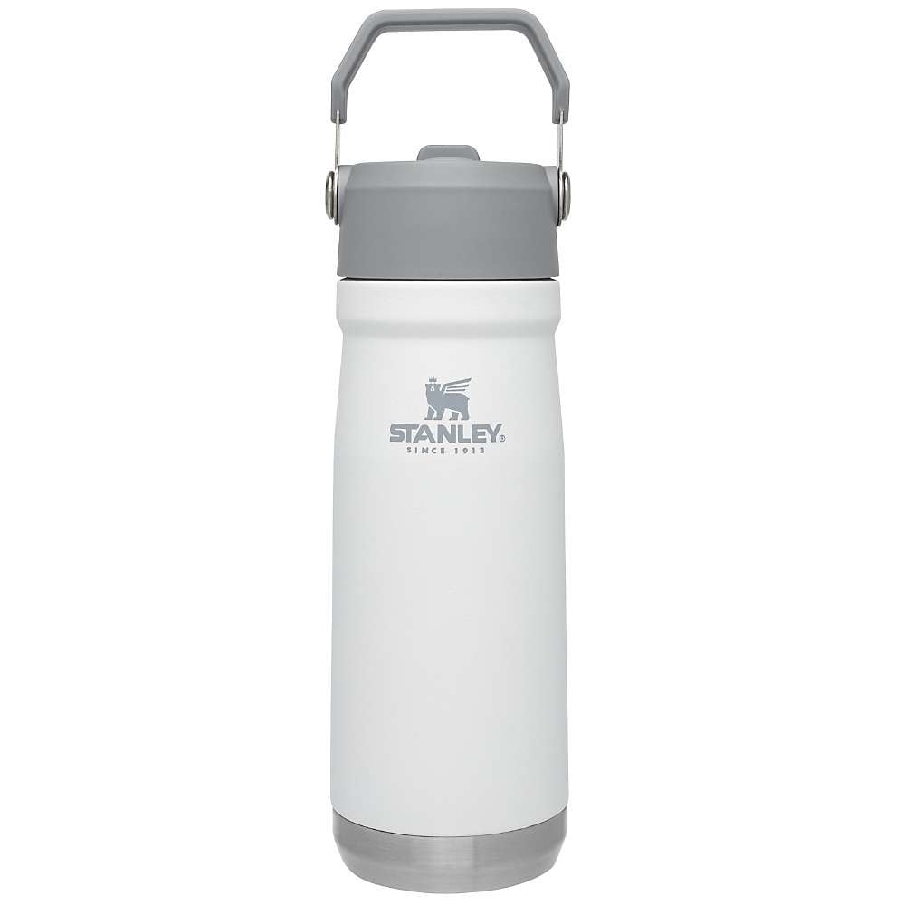 Stanley IceFlow Stainless Steel Tumbler w/ Straw Only $26 on  (Reg.  $35)
