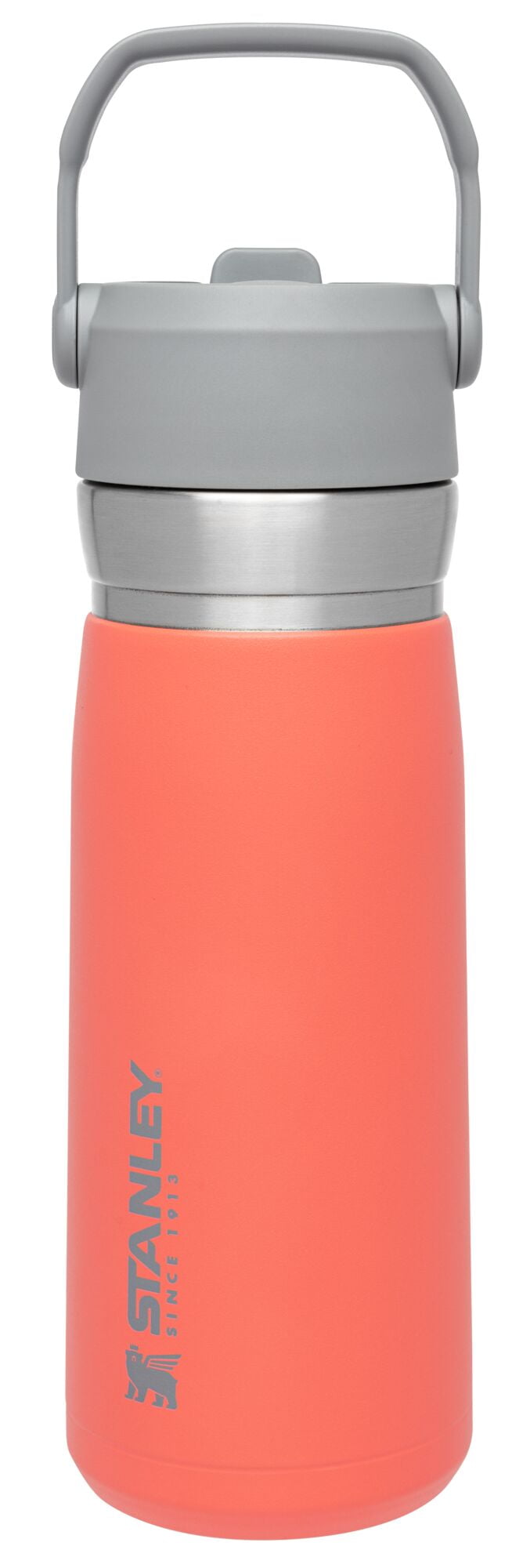 STANLEY 22 oz Green and Silver Insulated Stainless Steel Water Bottle with  Straw and Flip-Top Lid 