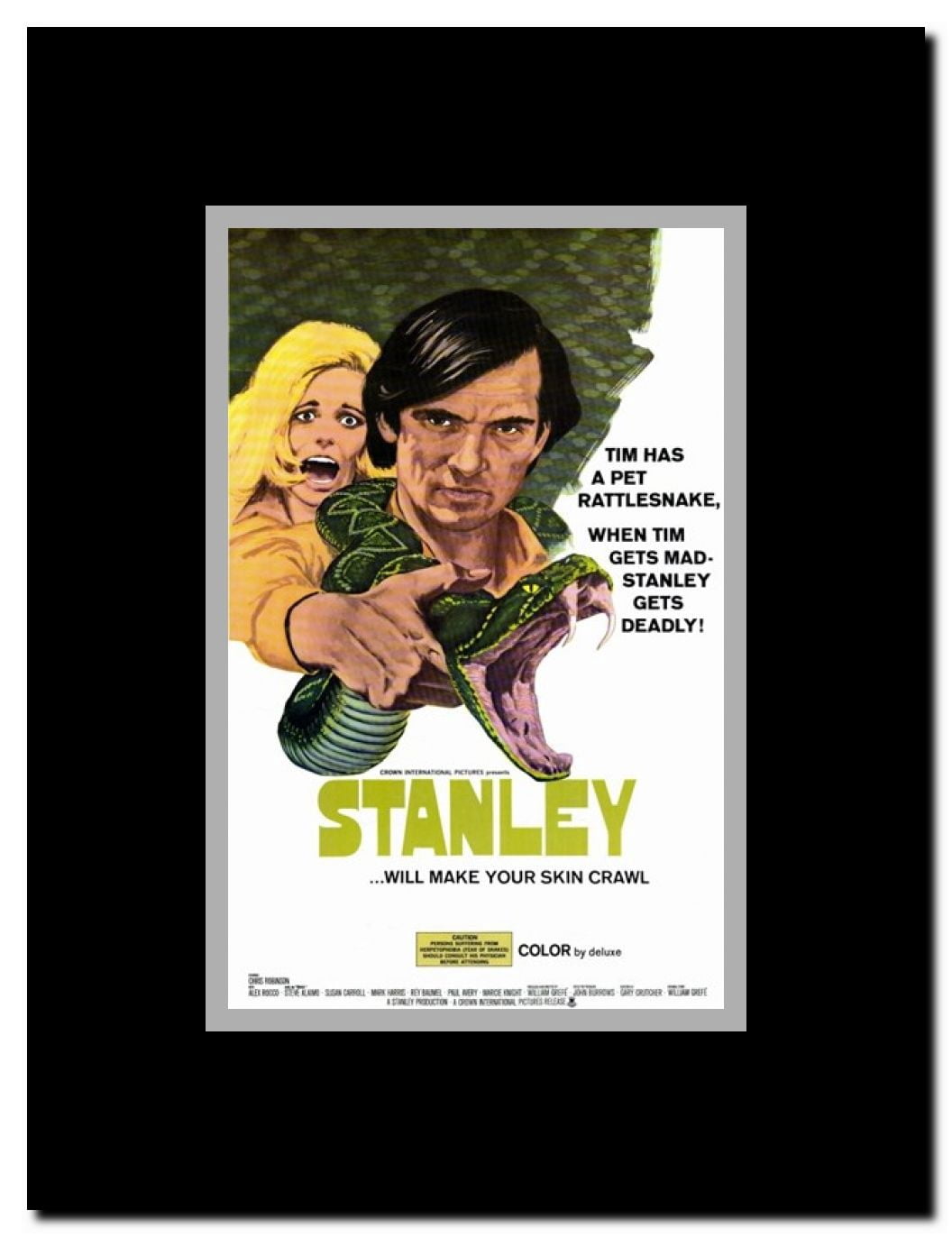Stanley Framed Movie Poster