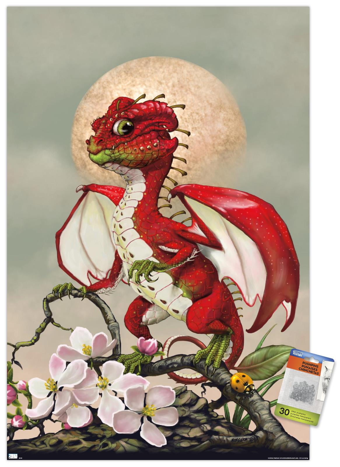 Peach Dragon Digital Art by Stanley Morrison - Pixels