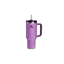 Stanley Quencher Stainless Steel Double Wall Insulated Tumbler 40 oz. Hammertone Lilac