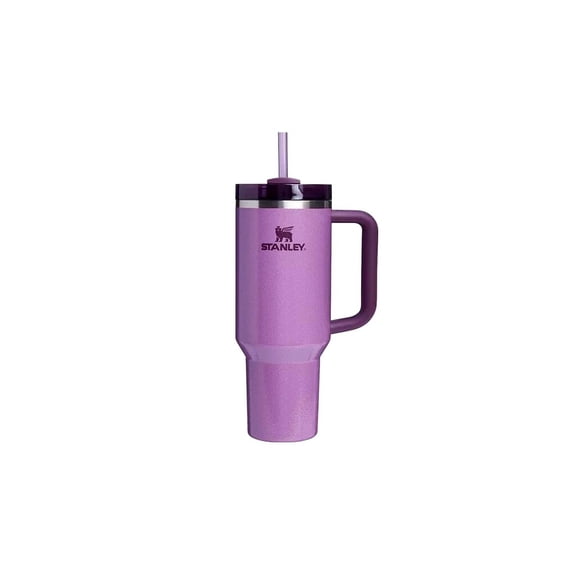 Stanley Quencher Stainless Steel Double Wall Insulated Tumbler 40 oz. Hammertone Lilac