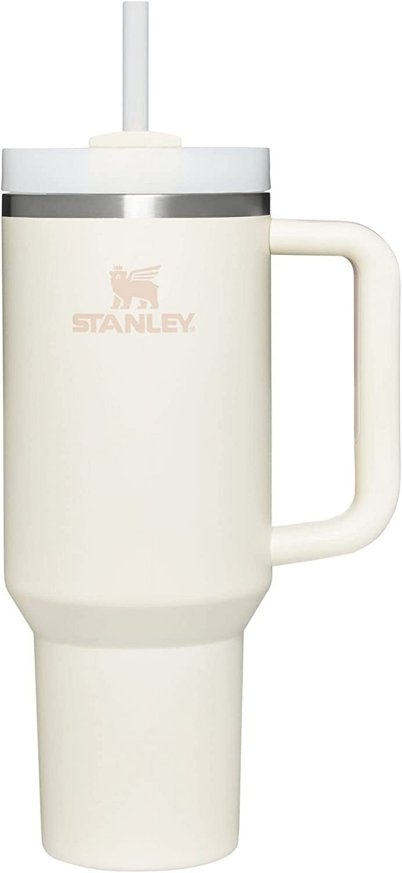 Insulated Smoothie Mug