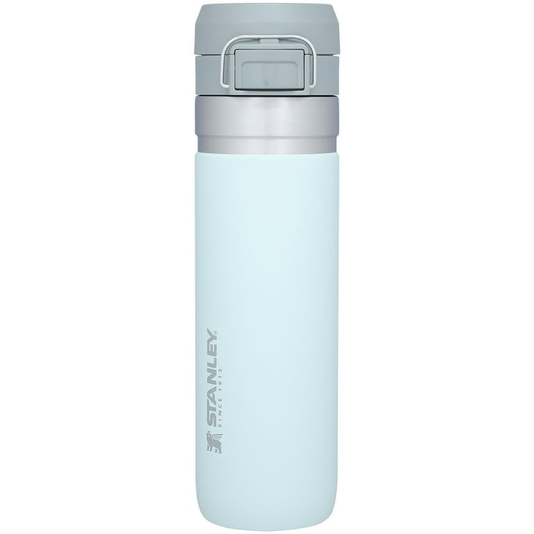 Stanley 10-fl oz Stainless Steel Insulated Tumbler in the Water
