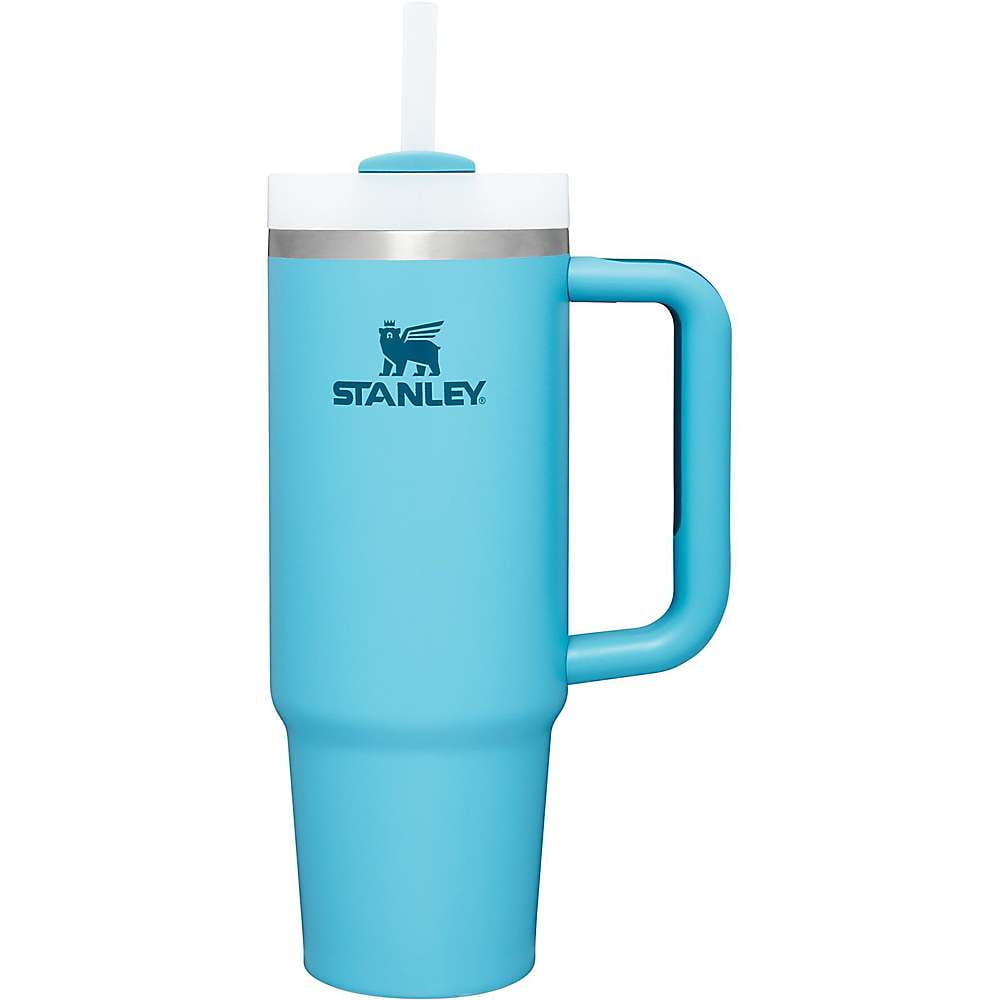 Stanley Quencher 30-fl oz Stainless Steel Insulated Tumbler in the Water  Bottles & Mugs department at 