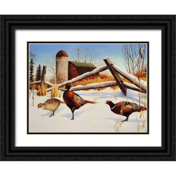 Stans, Leo 18x15 Black Ornate Wood Framed with Double Matting Museum Art Print Titled - Pheasants II