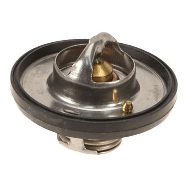 General Pump 100438 Adjustable Thermostat – 86-195°F Range, 4000 PSI, OEM Replacement