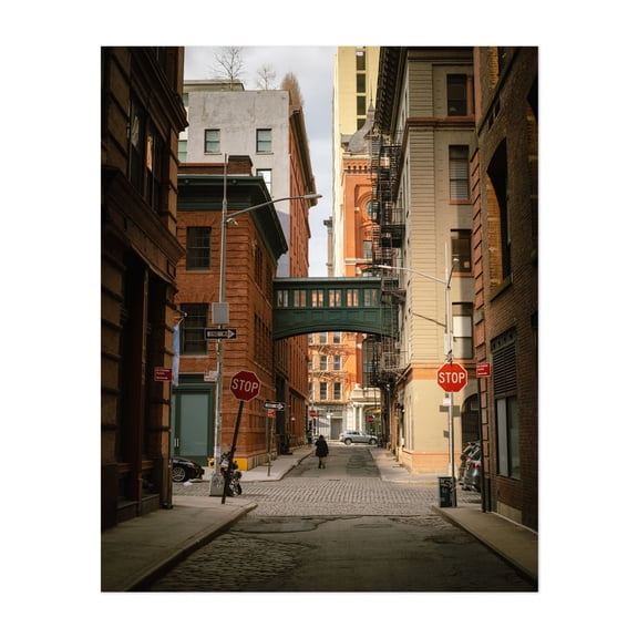 Staple Street Skybridge, Tribeca 01 - Manhattan New York Photography Architecture Street Photography Cityscape Bridge Vintage City Unframed Wall Art Print 20 x 28 inches