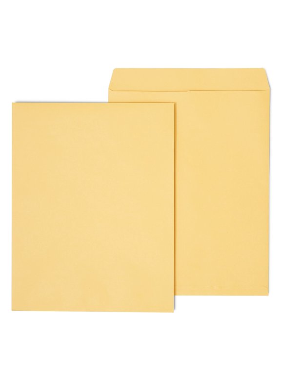 Manila Envelopes in Envelopes