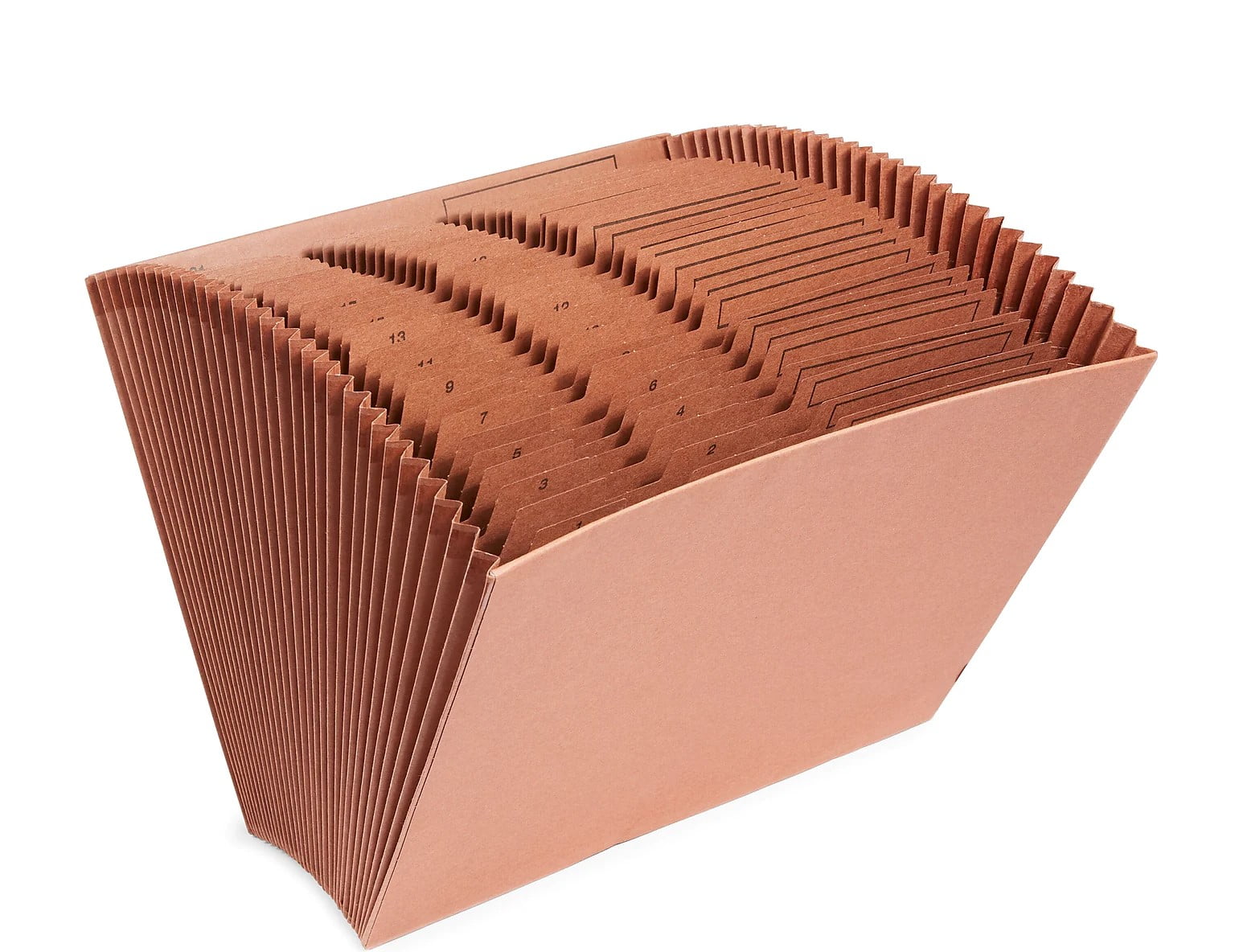 Staples-Accordion-File-