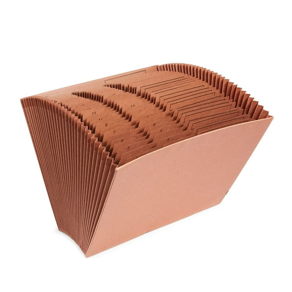 Staples Accordion File Numerical Index 31-Pocket Letter Size 2/Pack ST119107-CCVS