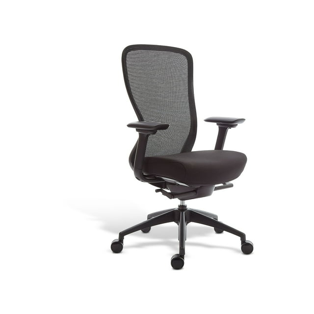 Staples Ayalon Ergonomic Task Chair with Adjustable Arms, Black Mesh