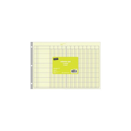 Staples Columnar Book 50 Pages Green (217885)