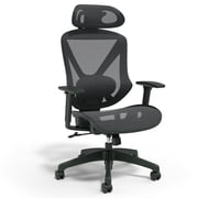 Staples Dexley Mesh Task Chair Black (56946)