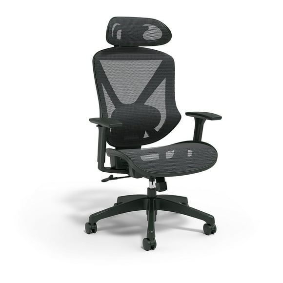 Staples Dexley Mesh Task Chair Black (56946)